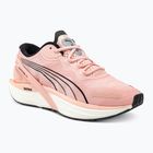 Кросівки для бігу жіночі PUMA Run XX Nitro rose dust/puma black