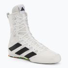 Боксерські черевики adidas Box Hog 4 cloud white/core black/cloud white