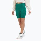 Легінси жіночі FILA Buckautal aventurine