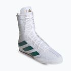Кросівки боксерські adidas Box Hog 4 cloud white/collegiate green/core black