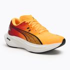 Кросівки для бігу жіночі PUMA Deviate Nitro 3 Fade sun stream/sunset glow/puma white