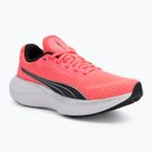 Бігові кросівки PUMA Scend Pro sunset glow / пума чорні