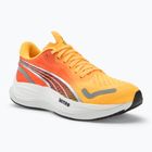 Кросівки для бігу жіночі PUMA Velocity Nitro 3 Fade sun stream/sunset glow/white