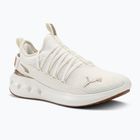 Кросівки для бігу PUMA Softride Carson Fresh warm white/puma gold