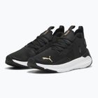 Кросівки для бігу жіночі PUMA Softride Symmetry Fuzion puma black/puma gold