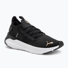 Кросівки для бігу жіночі PUMA Softride Symmetry Fuzion puma black/puma gold