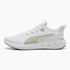 Кросівки для бігу PUMA Softride Carson puma white/desert dust