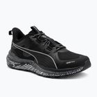 Кросівки для бігу PUMA