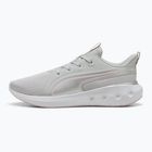 Кросівки для бігу PUMA Softride Carson cool light gray/rose mauve/puma silver