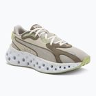 Бігові кросівки PUMA Softride Frequence фісташково-зелені / оксамитовий мох / теплі білі