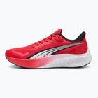Кросівки для бігу PUMA Pounce Lite for all time red/puma white