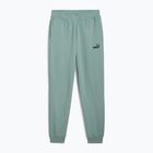 Штани чоловічі PUMA ESS No. 1 Logo Sweatpants TR CL green moon