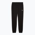 Штани чоловічі PUMA ESS Sweatpants TR Cl puma black