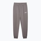 Штани чоловічі PUMA ESS No. 1 Logo Sweatpants TR CL cast iron