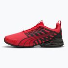 Кросівки для бігу PUMA Voltaic Evo for all time red/puma black