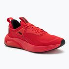 Кросівки для бігу PUMA Cell Thrill for all time red/puma black