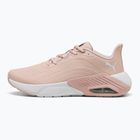 Кросівки для бігу жіночі PUMA X-Cell Nova CAT SL rose quartz/silver mist