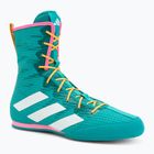 Боксерки adidas Box Hog 4 turquoise