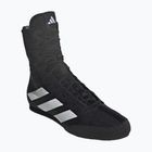Кросівки боксерські adidas Box Hog 4 black/white