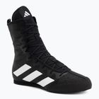 Кросівки боксерські adidas Box Hog 4 black/white