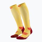 Шкарпетки компресійні жіночі CEP Run Tall 5.0 marigold/burgundy