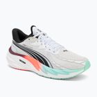 Кросівки для бігу чоловічі PUMA Velocity Nitro 4 Hyrox puma white / mint