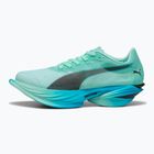 Кросівки для бігу жіночі PUMA Fast-R Nitro Elite 3 mint melt / speed blue