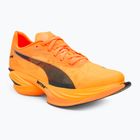 Кросівки для бігу жіночі PUMA Fast-R Nitro Elite 3 heat fire / puma black