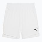 Шорти баскетбольні чоловічі PUMA teamJAWS Starter puma white