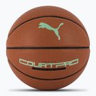 Баскетбольні кросівки PUMA teamJAWS Court Pro шкіряні коричневі / темна тінь розмір 7