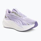 Кросівки для бігу Puma Maxima Pro light lavender/plum purple