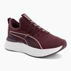 Взуття жіноче Buty Puma Softride Sabrina ruby noir/dusky rose