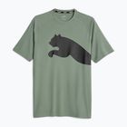 Футболка тренувальна чоловіча PUMA Train All Day Big Cat eucalyptus/puma black