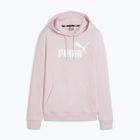 Кофта Puma ESS Logo Hoodie TR (S) grape mist