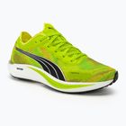 Кросівкі для бігу чоловічі PUMA Liberate Nitro 2 Psychedelic Rush green