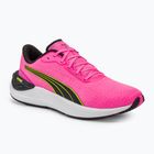 Кросівки для бігу жіночі PUMA Electrify Nitro 3 pink