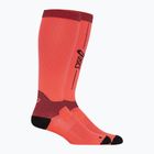 Шкарпетки для бігу ASICS Performance Run Compression sunrise red