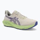 Кросівки для бігу чоловічі ASICS GT-2000 13 TR nature bathing/lime green