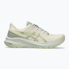 Кросівки для бігу чоловічі ASICS GT-1000 13 TR nature bathing/lime green