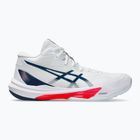 Кросівки чоловічі ASICS Sky Elite FF MT 3 white/mako blue