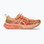 Кросівки для бігу чоловічі ASICS Noosa Tri 16 orange glow/flash red