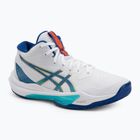 Кросівки волейбольні чоловічі ASICS Sky Elite FF MT 3 white/asics blue