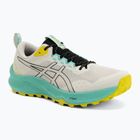 Кросівки для бігу чоловічі ASICS Trabuco Terra 3 light dust/black