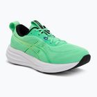 Кросівки для бігу чоловічі ASICS Gel-Pulse 17 vital green/illuminate green
