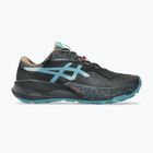 Кросівки для бігу чоловічі ASICS Trabuco 14 GTX black/misty pine