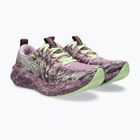 Кросівки для бігу жіночі Asics Noosa Tri 16 Hazy Lilac/Dark Prune