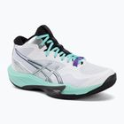Кросівки волейбольні чоловічі ASICS Sky Elite FF MT 4 white/radiant amethyst