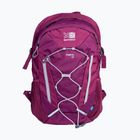 Рюкзак туристичний Karrimor Metro 30 л boysenberry