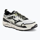 Кросівки Mizuno Wave Daichi LS gf white/black/daiquiri green