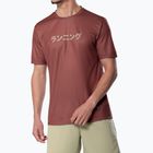 Чоловіча бігова футболка Mizuno Core Graphic Tee copper brown